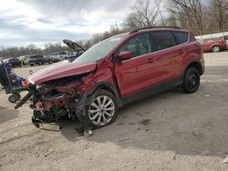 2019 Ford Escape SEL for sale in Ellwood City, PA