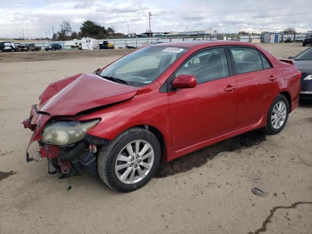 2010 Toyota Corolla Base