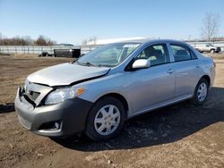 Salvage cars for sale at Columbia Station, OH auction: 2010 Toyota Corolla Base