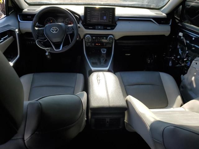 2019 Toyota Rav4 XLE Premium