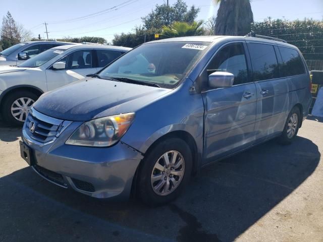 2008 Honda Odyssey EXL