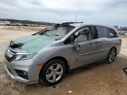 Salvage cars for sale from Copart Tanner, AL: 2019 Honda Odyssey EXL