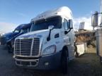 2016 Freightliner Cascadia 113