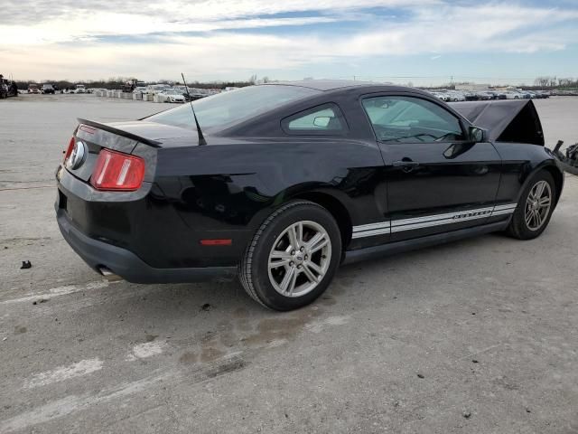 2010 Ford Mustang