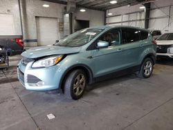 Salvage cars for sale at Ham Lake, MN auction: 2013 Ford Escape SE