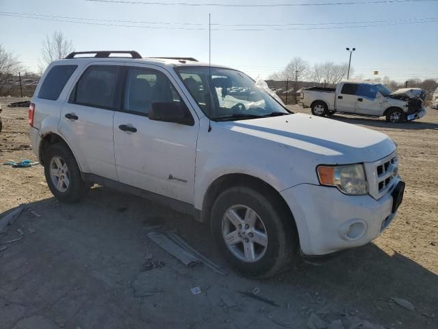 2010 Ford Escape Hybrid