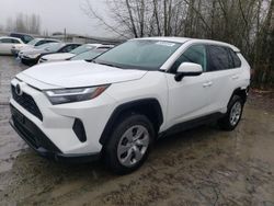 Salvage cars for sale from Copart Arlington, WA: 2023 Toyota Rav4 LE