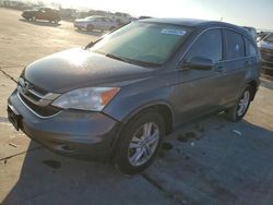 Salvage cars for sale at Grand Prairie, TX auction: 2010 Honda CR-V EXL