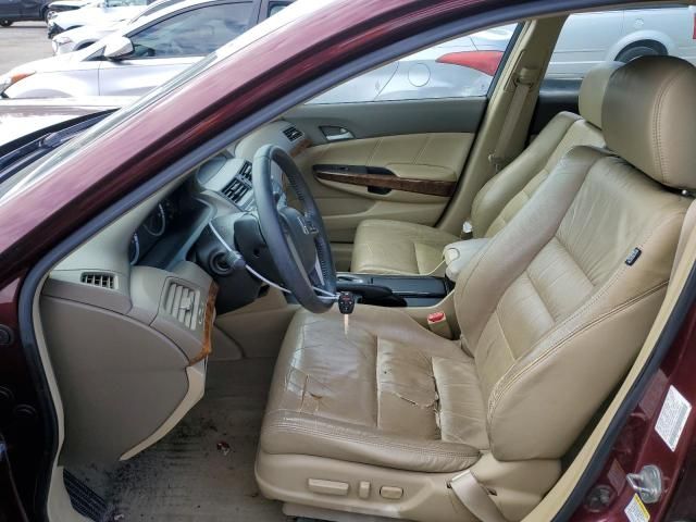 2008 Honda Accord EXL