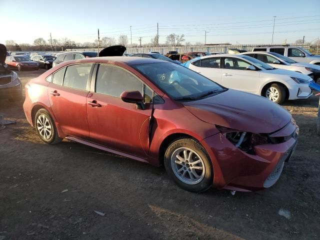 2022 Toyota Corolla LE