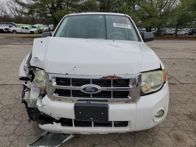 2008 Ford Escape XLT