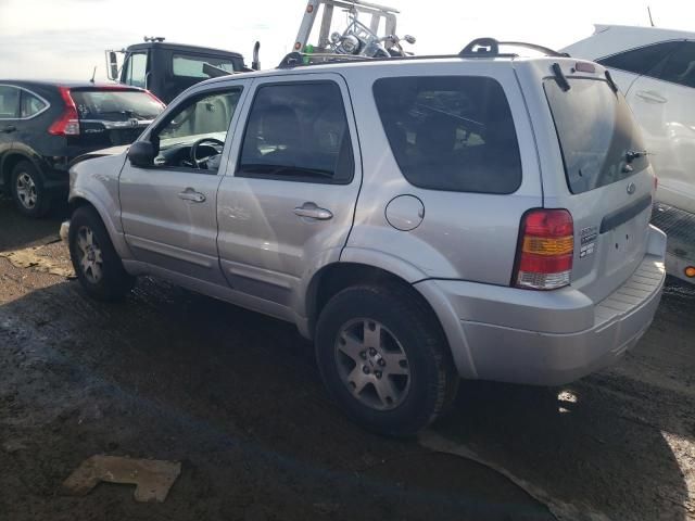 2005 Ford Escape Limited