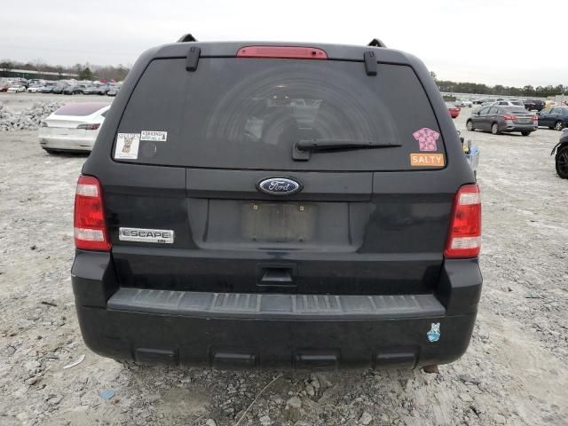 2010 Ford Escape XLT