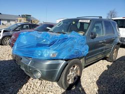 2006 Ford Escape Limited en venta en Sikeston, MO