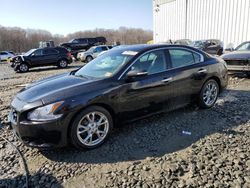 Nissan Maxima S salvage cars for sale: 2012 Nissan Maxima S