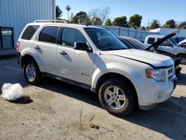 2009 Ford Escape Hybrid