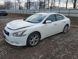 Salvage cars for sale from Copart Central Square, NY: 2013 Nissan Maxima S