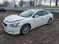 Nissan Maxima S Vehiculos salvage en venta: 2013 Nissan Maxima S