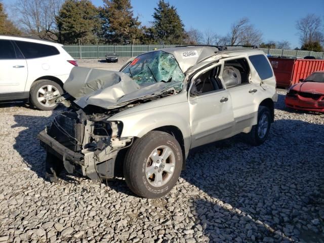 2005 Ford Escape XLT