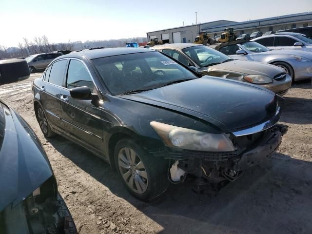 2011 Honda Accord EXL