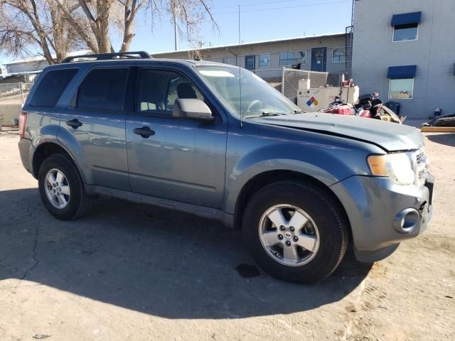 2011 Ford Escape XLT