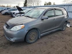 Salvage cars for sale from Copart Bowmanville, ON: 2008 Toyota Corolla Matrix XR