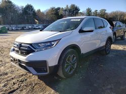 Salvage cars for sale at Mendon, MA auction: 2022 Honda CR-V EXL
