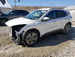 Ford Escape SEL salvage cars for sale: 2021 Ford Escape SEL