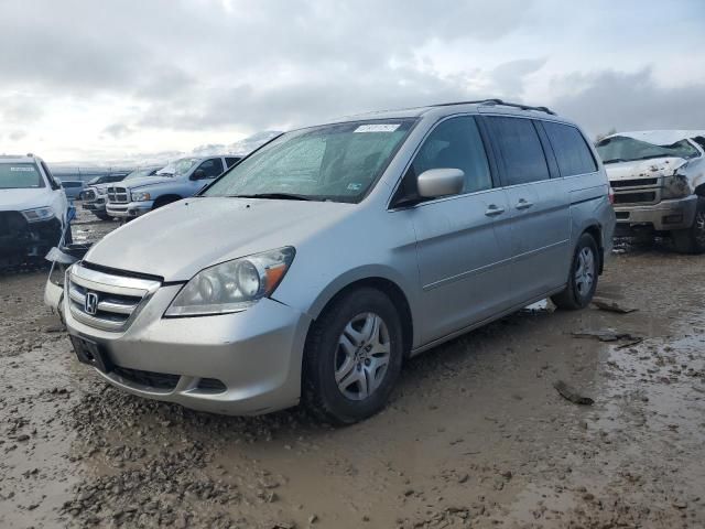 2007 Honda Odyssey EXL