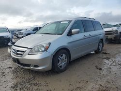 Honda Vehiculos salvage en venta: 2007 Honda Odyssey EXL