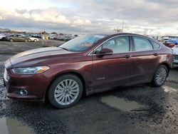 Salvage cars for sale at Eugene, OR auction: 2016 Ford Fusion SE Hybrid