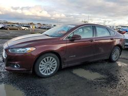 Ford Fusion se Hybrid salvage cars for sale: 2016 Ford Fusion SE Hybrid