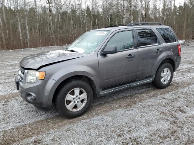 2009 Ford Escape XLT