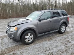 Ford Escape XLT salvage cars for sale: 2009 Ford Escape XLT