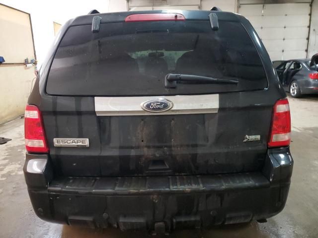 2010 Ford Escape Limited