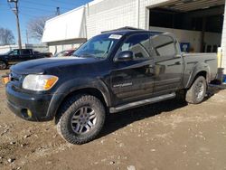 2006 Toyota Tundra Double Cab Limited for sale in Blaine, MN