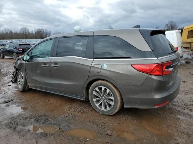 2022 Honda Odyssey EXL