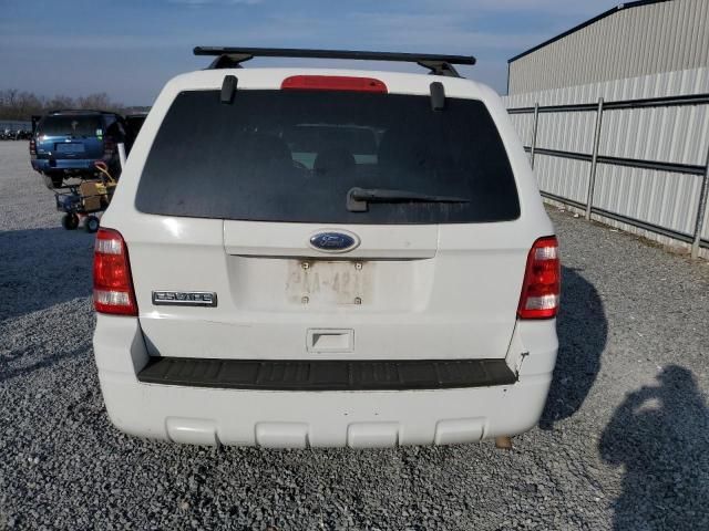 2010 Ford Escape XLT