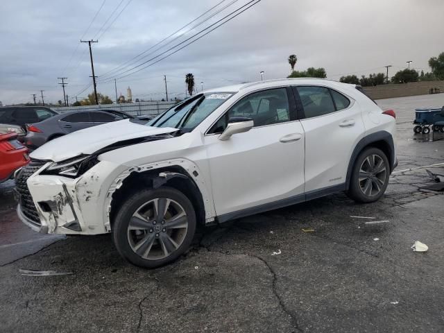 2019 Lexus UX 250H