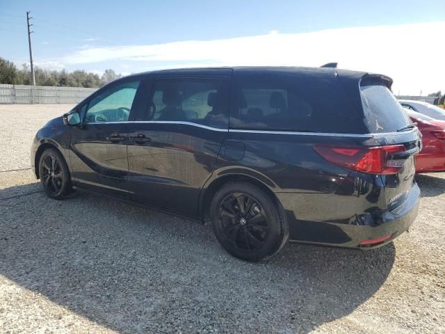 2023 Honda Odyssey SPORT-L