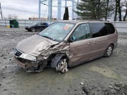 Salvage cars for sale at Windsor, NJ auction: 2004 Honda Odyssey EXL