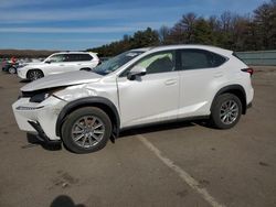2021 Lexus NX 300 Base for sale in Brookhaven, NY