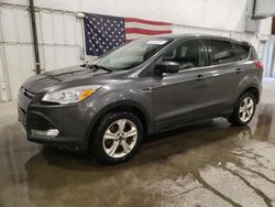 Salvage cars for sale at Avon, MN auction: 2015 Ford Escape SE