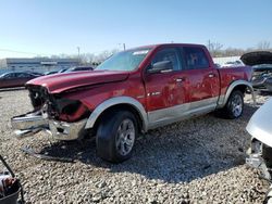 Salvage cars for sale at Louisville, KY auction: 2009 Dodge RAM 1500