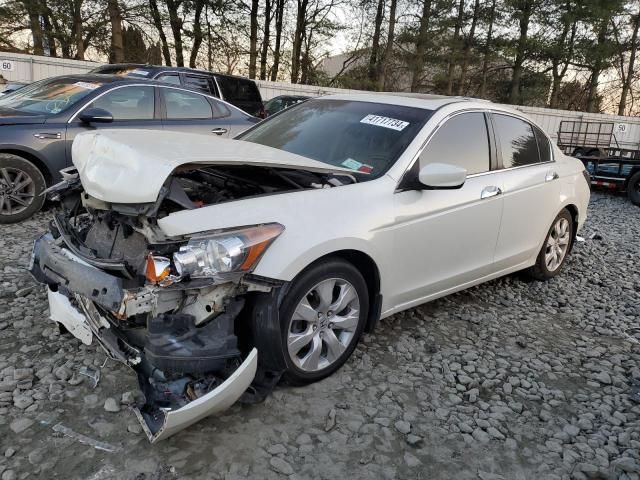 2009 Honda Accord EXL