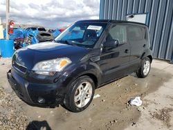 Vandalism Cars for sale at auction: 2011 KIA Soul +