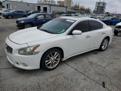 Salvage cars for sale from Copart New Orleans, LA: 2011 Nissan Maxima S