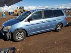 Vehiculos salvage en venta de Copart Phoenix, AZ: 2006 Honda Odyssey EXL