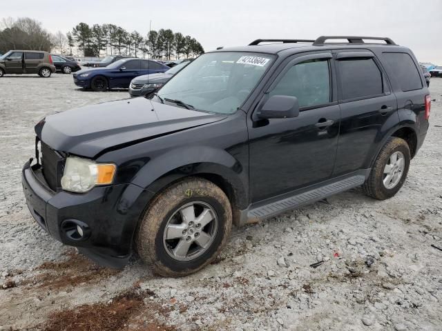 2010 Ford Escape XLT