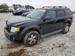 Ford Escape xlt salvage cars for sale: 2010 Ford Escape XLT
